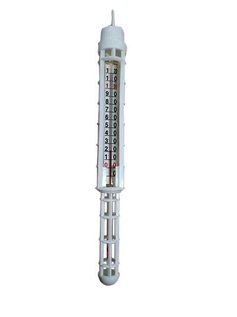 Thermomètres - Thermomètre type charcutier