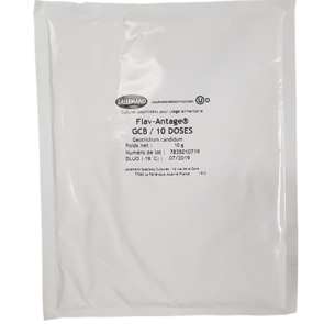 Ferments d'affinages et d'aromatisation - Geotrichum candidum GCB